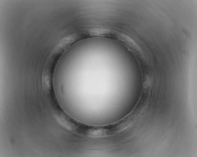 X0000112080452200908111459