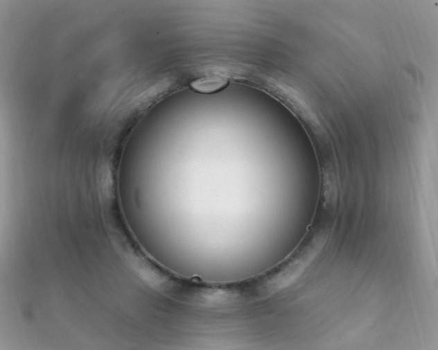 X0000112080453200908111459