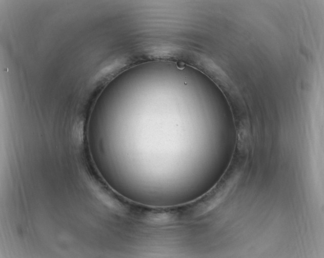 X0000112080454200908111459