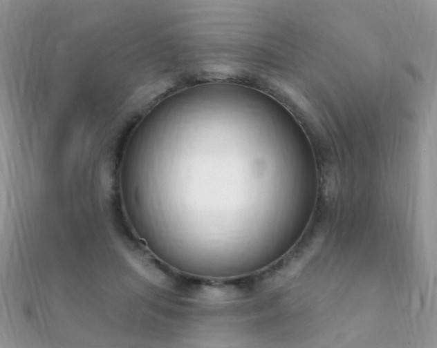 X0000112080455200908111459