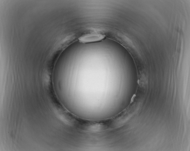 X0000112080456200908111459