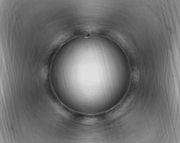 X0000112080458200908111459