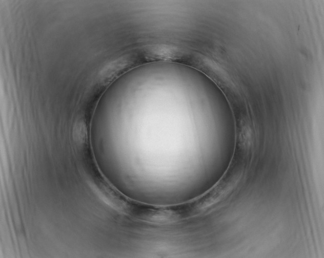 X0000112080459200908111459