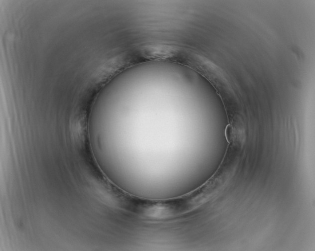 X0000112080460200908111459