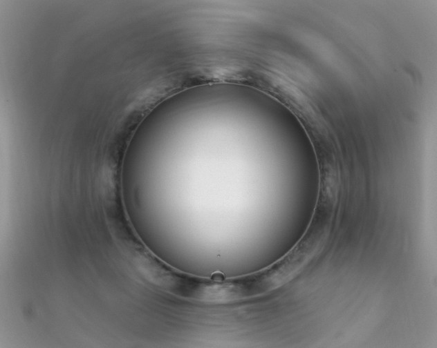 X0000112080461200908111459