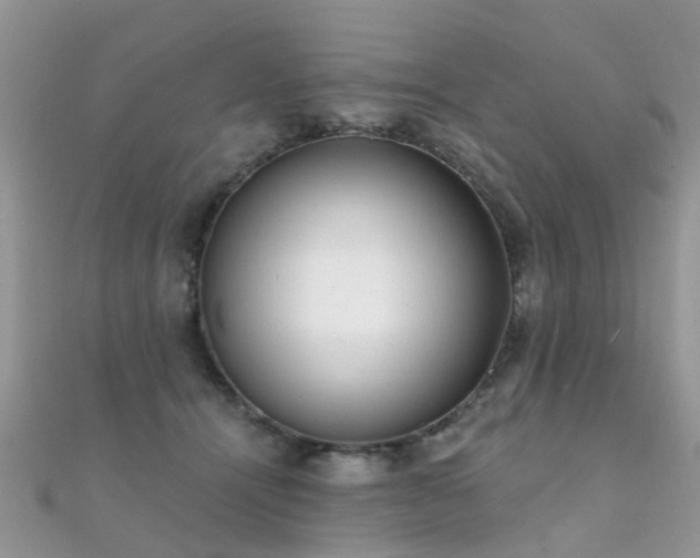X0000112080464200908111459