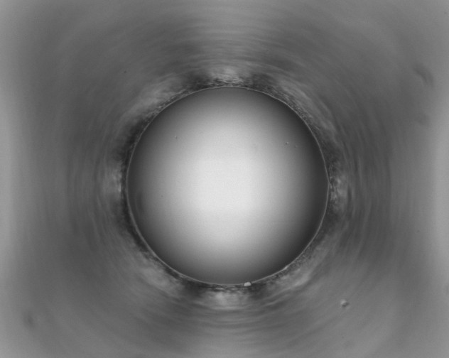 X0000112080466200908111459