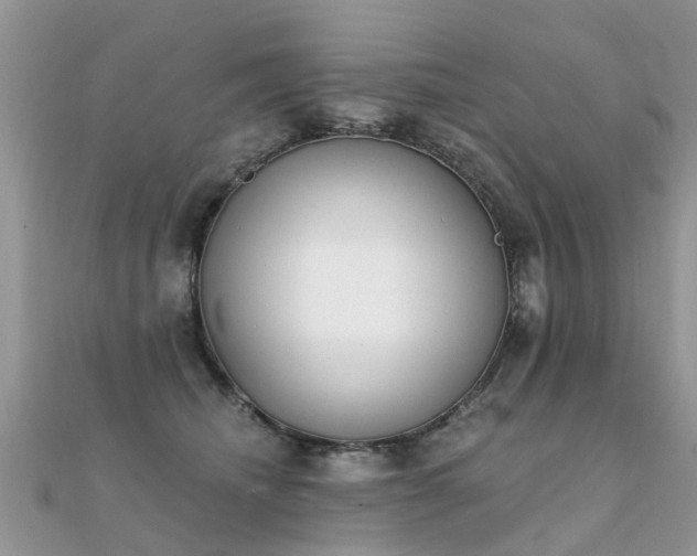 X0000112080468200908111459