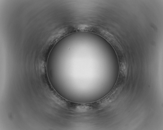 X0000112080470200908111459