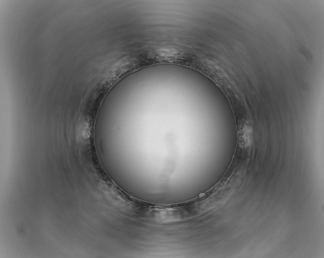 X0000112080472200908111459