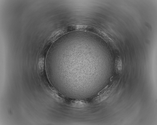 X0000112080475200908111459