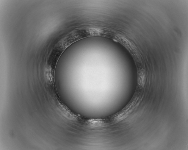 X0000112080477200908111459