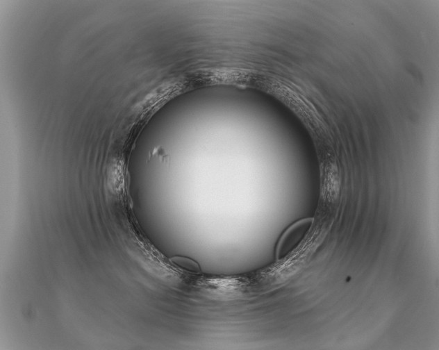 X0000112080478200908111459