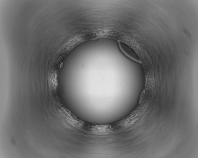 X0000112080479200908111459