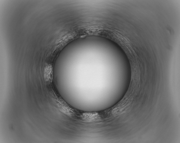 X0000112080480200908111459