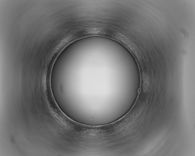 X0000112080482200908111458