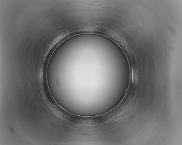 X0000112080483200908111458