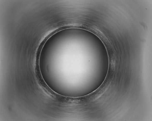 X0000112080484200908111458