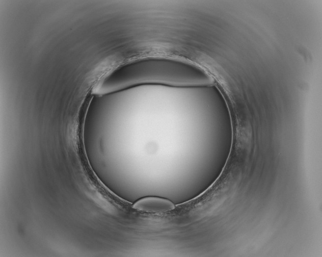 X0000112080485200908111458