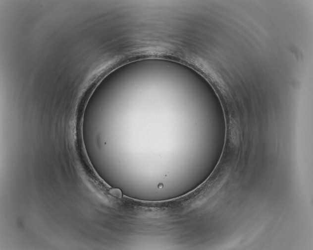 X0000112080486200908111458