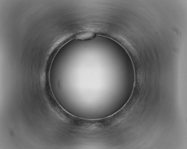 X0000112080488200908111458