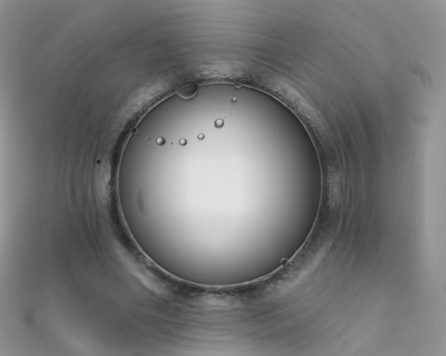 X0000112080490200908111458
