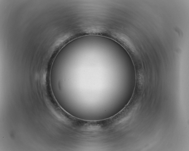 X0000112080491200908111458