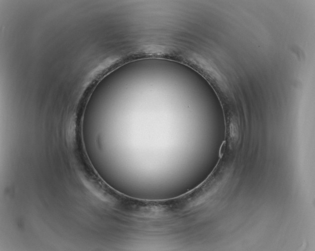 X0000112080492200908111458