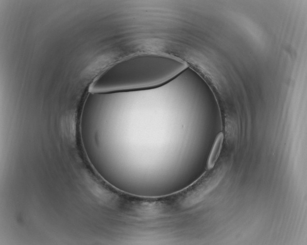 X0000112080493200908111458