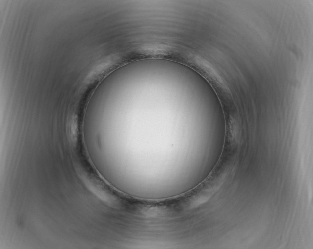 X0000112080494200908111458