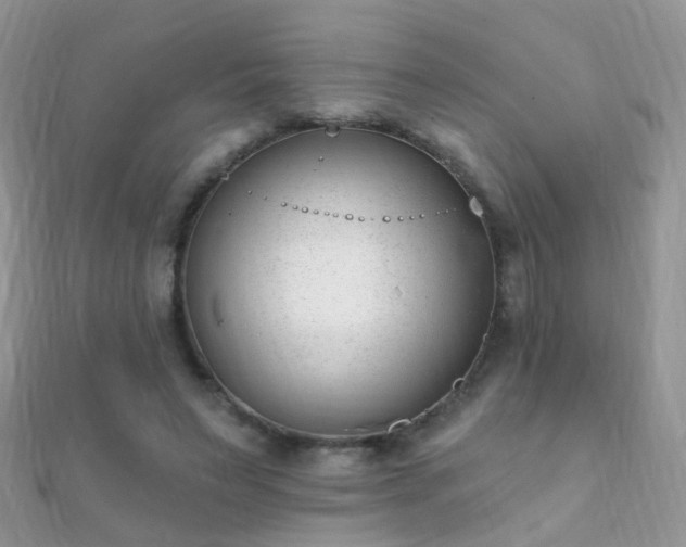 X0000112080495200908111458