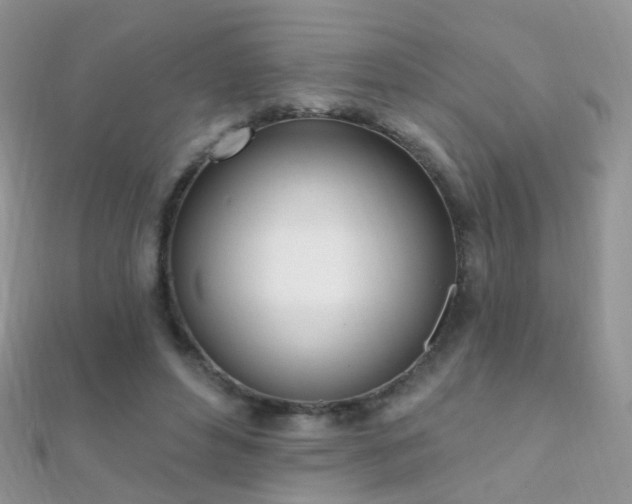 X0000112080496200908111458