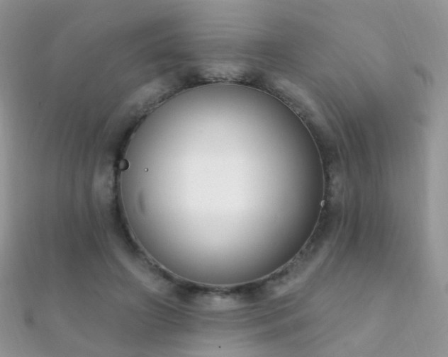 X0000112080498200908111458