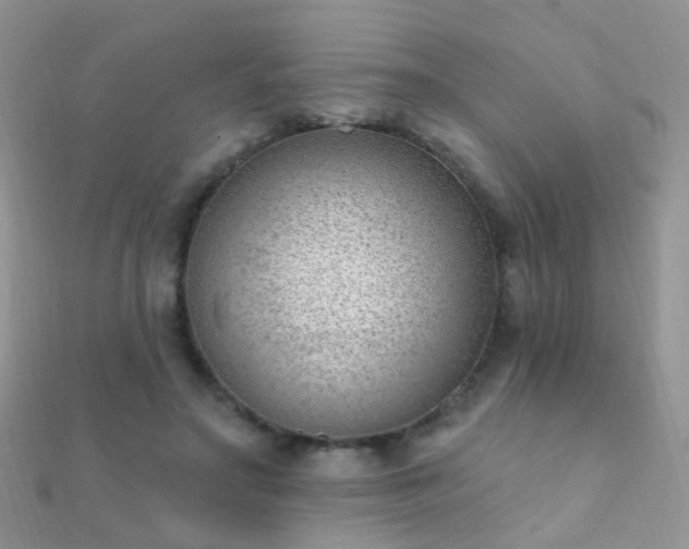 X0000112080499200908111458