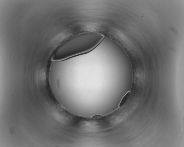 X0000112080500200908111458