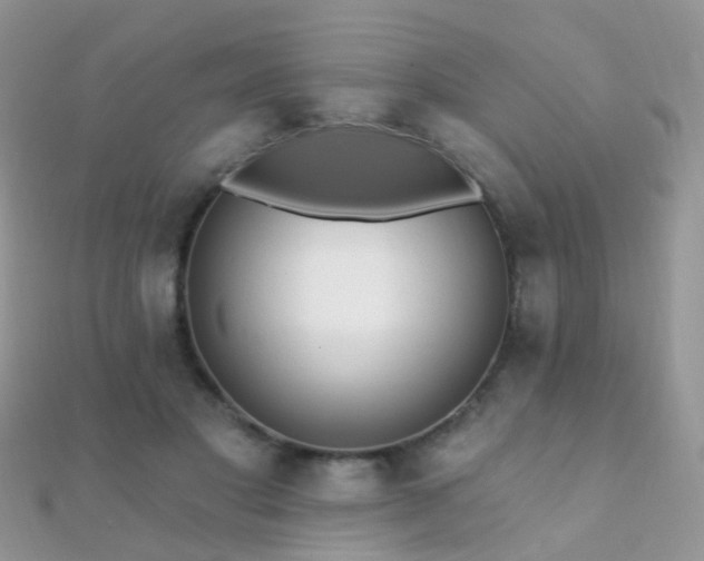 X0000112080501200908111458