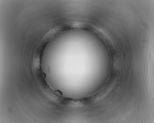 X0000112080502200908111458