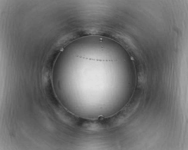 X0000112080503200908111458