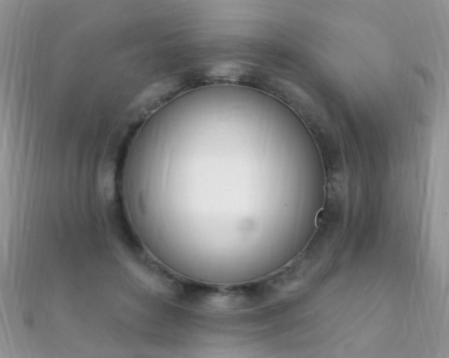 X0000112080504200908111458