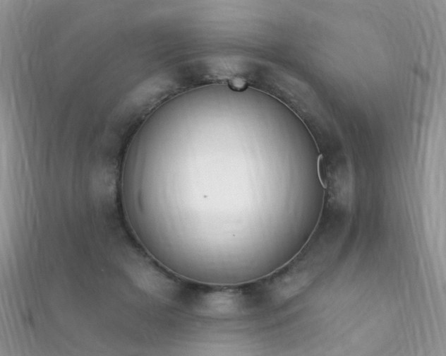 X0000112080505200908111458