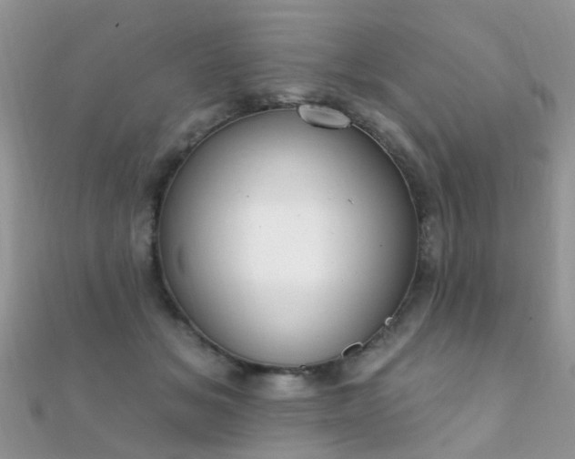 X0000112080509200908111458