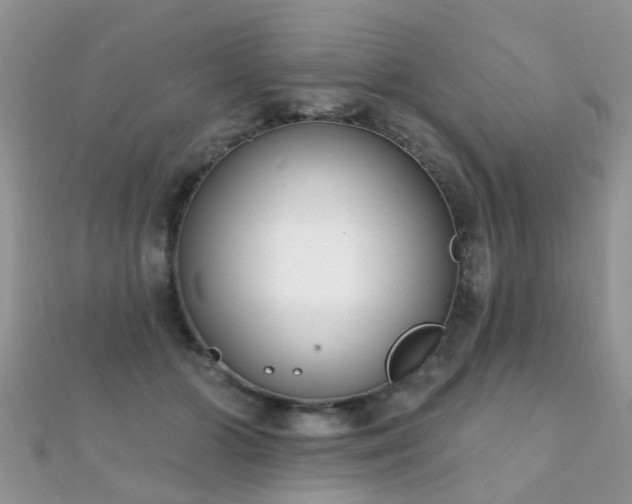 X0000112080510200908111458