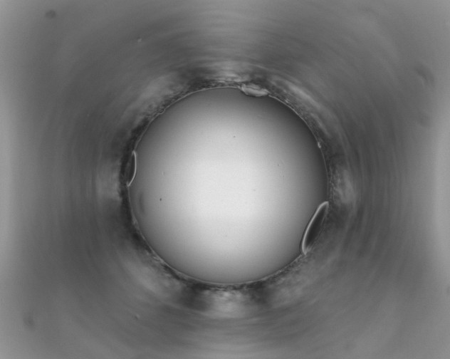 X0000112080512200908111458