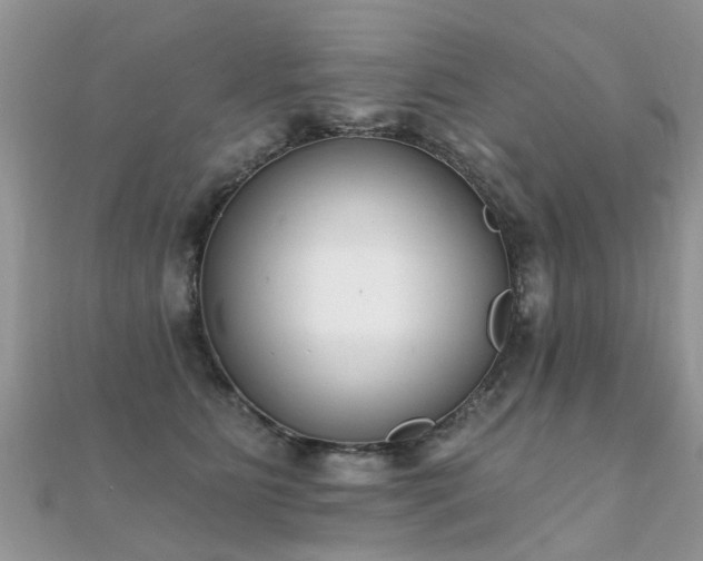 X0000112080515200908111458