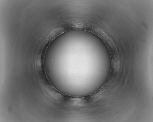 X0000112080516200908111458