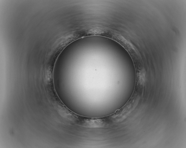 X0000112080517200908111458