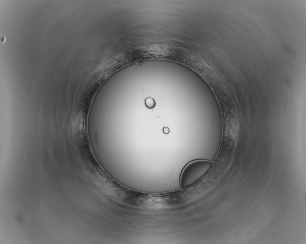 X0000112080518200908111458