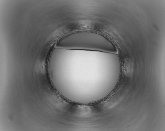 X0000112080520200908111458