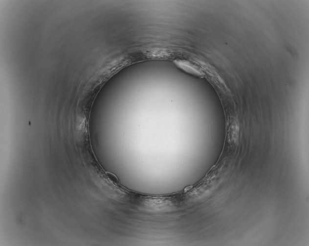 X0000112080521200908111458