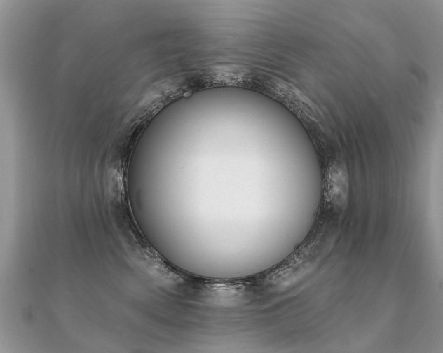 X0000112080522200908111458
